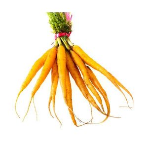 Products: Carrots Baby Yellow (500g) - Sunrise Fresh