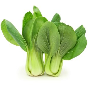 Bok Choy - Shanghai (Twin Pack) - Sunrise Fresh