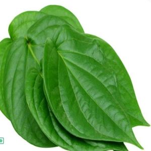 Paan Leaves (Pack) - Sunrise Fresh