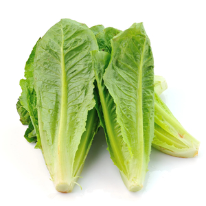 Products: Lettuce Cos (Each) - Sunrise Fresh