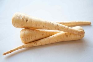 Products: Parsnip (kg) - Sunrise Fresh