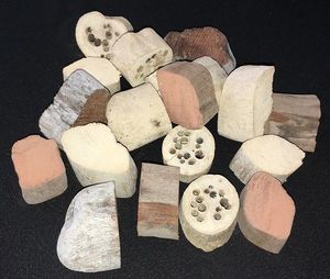 Products: Driftwood Slices