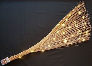 Products: Fairy Lights Fan