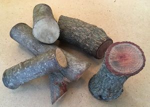 Products: Tree Branches Large