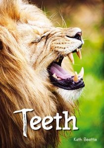Teeth – Sunshine Books New Zealand