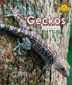 Products: Geckos – Sunshine Books New Zealand