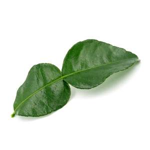 Products: Makrut Lime Leaves - Superb Herb
