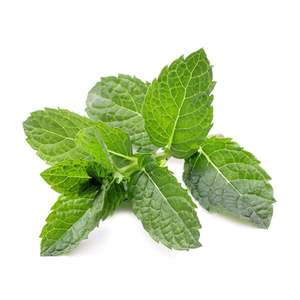 Products: Mint - Superb Herb