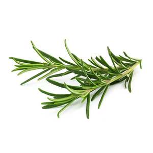 Products: Rosemary - Superb Herb