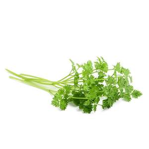 Chervil - Superb Herb