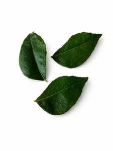 Curry Leaves - Superb Herb
