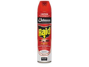 Detergent, Furniture, General Cleaners: Raid Residual One Shot Fly Spray 450gm