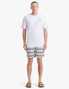 Water Column Shorts - Green Stripe