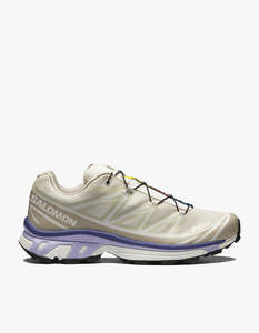 Salomon: Mens XT 6 - Almond Milk/Silver Cloud/Liberty