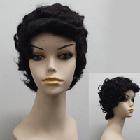 Products: Human Hair HW209
