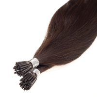 Products: AAA 24inch 1g I Tip Hair Extensions