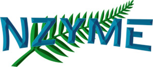Nzyme: Boat Wash
