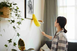 Products: Regular House Cleaning Services in Auckland Super Quality Cleaning