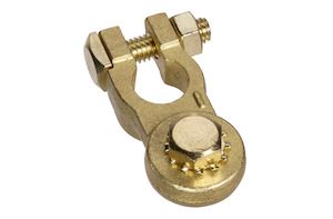 Projecta Battery Terminal Brass Heavy Duty Stud - BT142H-N1