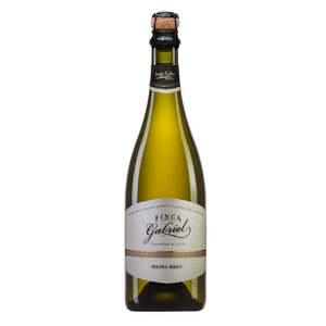 Bubbles: Finca Gabriel Extra Brut (Jorge Rubio) 2022 – Argentina Champagne‑style Sparkling