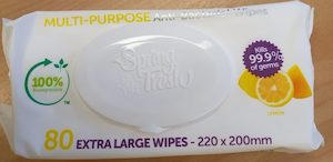 Spring Fresh Multi Purpose Anti-bacterial Wipes 80pk - Survive-it