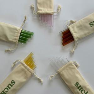 Travel Glass Smoothie Straw Set