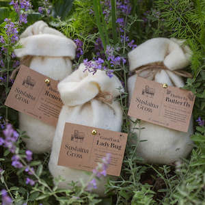 Frontpage: DIY Wool Seed Bombs - 3 Pack