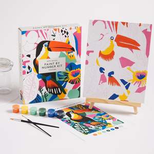 Paint By Numbers: Kitty McCall Toucan Paint By Number Kit