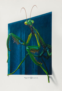 Products: Unexpected Encounter' SwiftMantis