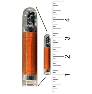 Products: 22mm Fusion Polymer ISO HDX PIT Tag - SwissPlus ID (New Zealand)
