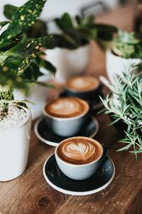 Coffee: Industrial Blend