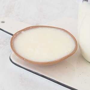 Skyr Yogurt Starter Culture