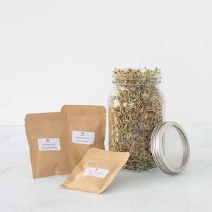 Fermentation Kits: Sprouting Seed Kit