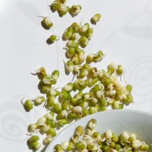 Sprouts: Sprouting Seeds Mung Beans 100g