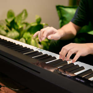 Accessories 1: NUX NPK-10 Digital Keyboard Set 2