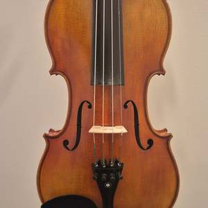 Instruments: Advanced Student Violin 4/4