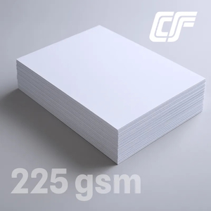 Products: COSMO Synthetic Paper Matte 225gsm