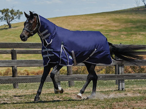 Weatherbeeta Comfitec Essential Lite Plus tackshop.co.nz