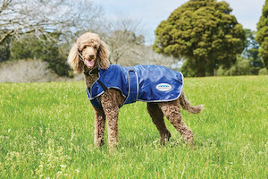 Weatherbeeta Comfitec Windbreaker Free Deluxe Dog Coat tackshop.co.nz