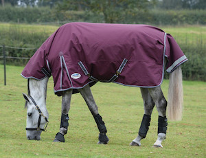 Products: Weatherbeeta Comfitec Plus Dynamic Med-Lite Combo II tackshop.co.nz