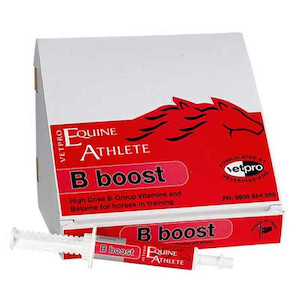 Products: Vetpro B Boost Paste tackshop.co.nz