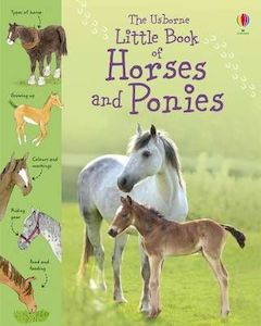 Books: Little Book of Horses and Ponies