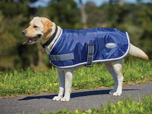 For The Dog: Weatherbeeta Windbreaker 420D Dog Coat
