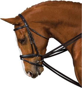 Kincade Web Draw Reins