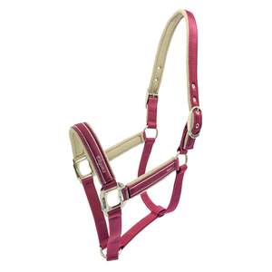 Lunging And Training: Lami-Cell Elegance Halter