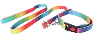 Stable And Accessories 1: Flair Rainbow Web Dog Lead/Collar Set