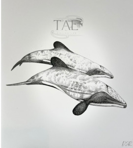 Māui Dolphin Precious Moments | Māui Dolphin Art Print Collection