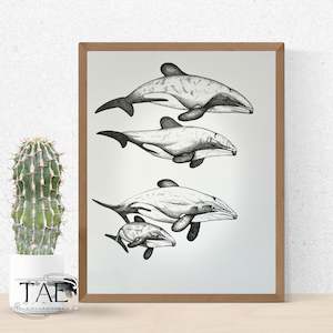 Māui Dolphin Whānau | Māui Dolphin Art Print Collection
