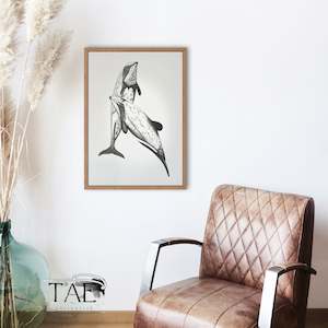 Maui Dolphin Limited Edition: Māui Dolphin at Play | Māui Dolphin Art Print Collection