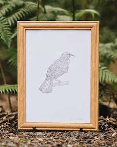 Manu Of Aotearoa: Tūī Bird | Manu (Bird) Art Print Collection